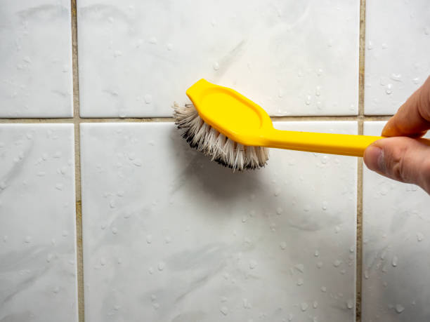 Best Preventive Mold Services in Saybrook On The Lake, OH