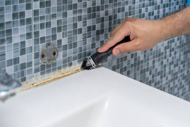 Best Post-Remediation Services in Saybrook On The Lake, OH