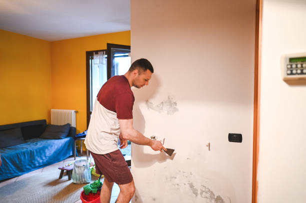 Best Mold Testing and Inspection Services in Saybrook On The Lake, OH